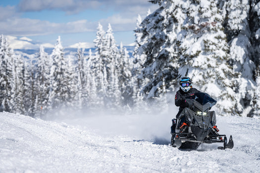 Backcountry