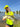 #color_hi-vis-yellow