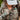 #color_realtree-excape