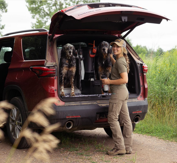 Summer Conditioning for Your Hunting Dog