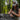 #color_realtree-edge