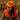 Hi Vis Trucker Cap - Hi Vis Orange