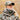 #color_realtree-apx