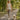 #color_faded-realtree-advantage-classic®