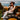 #color_faded-realtree-advantage-classic®